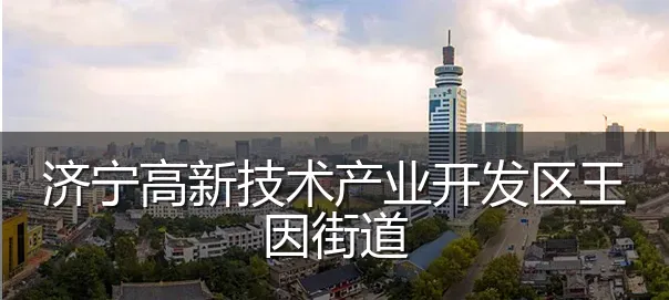 济宁高新技术产业开发区王因街道